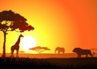 Vektor: Silhouette of lion family Silhouette of lion family
