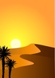 Desert background