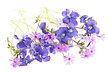Spring flower arrangement Spring flower arrangement