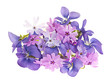 Bouquet of spring flowers Bouquet of spring flowers