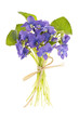 Bouquet of violets Bouquet of violets