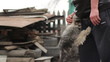 Man stroking  the dog-mongrel outside