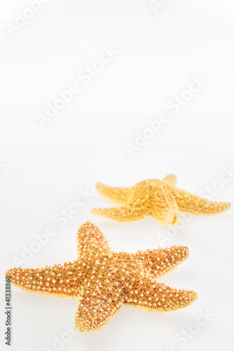 Photo: Dried yellow-orange starfish Dried yellow-orange starfish