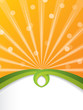 Bursting orange brochure Bursting orange brochure