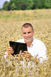 Agriculture specialist in the field under bright sun