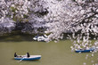 千鳥ヶ淵の花見