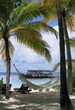 Maldivian boat,hammock and palm