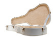 Guitar case open