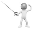 A fényképek részletei 3D Fencer - Fencing