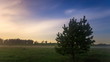 Video: Timelapse of night sky with stars and clouds from field. Timelapse of night sky with stars and clouds from field.