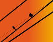 Vector - Lonely,The lonely bird and the couple bird.