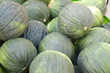 Melons market