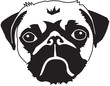 head of a pug