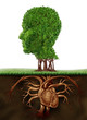 Detalii fotografie Organic Living