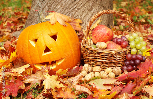 Photo: autumn background autumn background