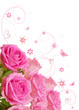 Illustration: buoquet of roses buoquet of roses