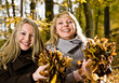 Foto: N+B29 N+B29