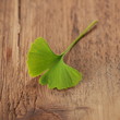 Ginkgoblatt