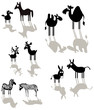Cartoon animals