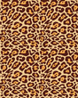 Seamless leopard fur pattern
