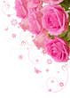 Rosen,Blumenstrauss