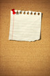 blank note paper with push pins on cork board