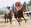 Horse racing
