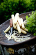 Detalii fotografie Spargel aus dem Bauerngarten