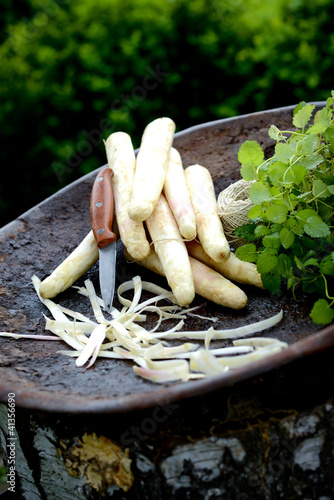 Photo: Spargel aus dem Bauerngarten Spargel aus dem Bauerngarten