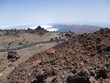 Lava fields