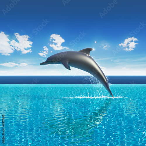 Illustration: Dolphin jumps above pool water, summer sky aquarium Dolphin jumps above pool water, summer sky aquarium