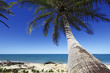 Photo: praia praia
