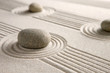 Mini zen garden
