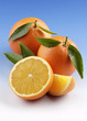 Spanish oranges
