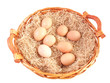 Eggs in wicker basket