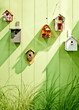 spring wooden wall