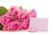 canvas print picture - pink roses on white