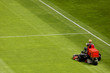 Mowing Grass