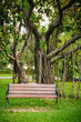 Bench in the park Bench in the park