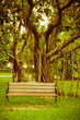 Bench in the park Bench in the park