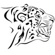 Tiger. tattoo
