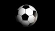 Video: Sports Ball, with Alpha Channel - HD1080 Sports Ball, with Alpha Channel - HD1080