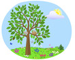 Tree with birds. Summer.