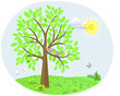 Tree with birds. Spring.