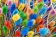 Colorful thistle to scare evil
