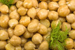 Bowl of chickpeas with fennel leaves