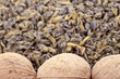 Green tea and walnuts Green tea and walnuts