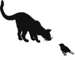 chat et oiseau
