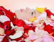 Photo: beautiful blonde in rose petals beautiful blonde in rose petals