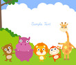 Group of animal